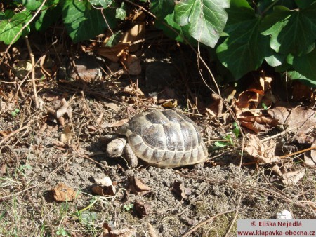 zde už se pracuje na solární pohon